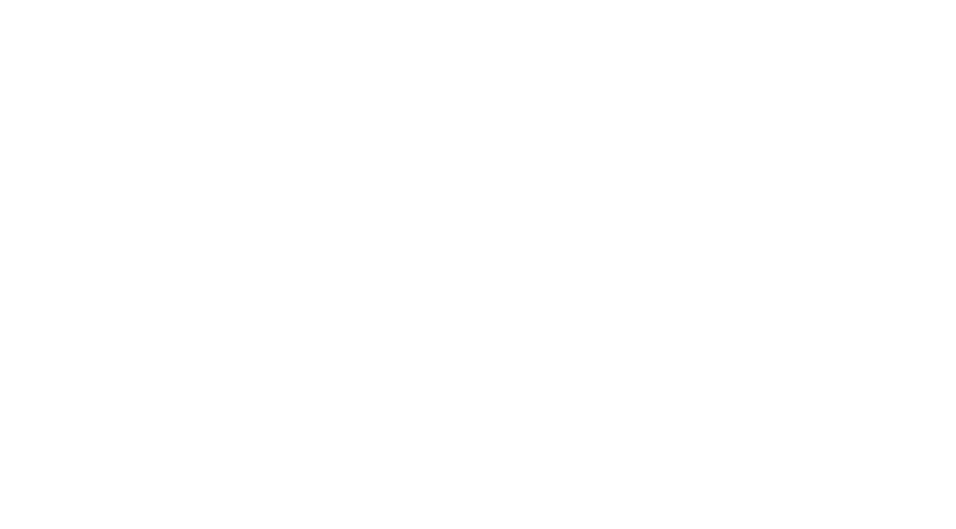 MOON OPTIK